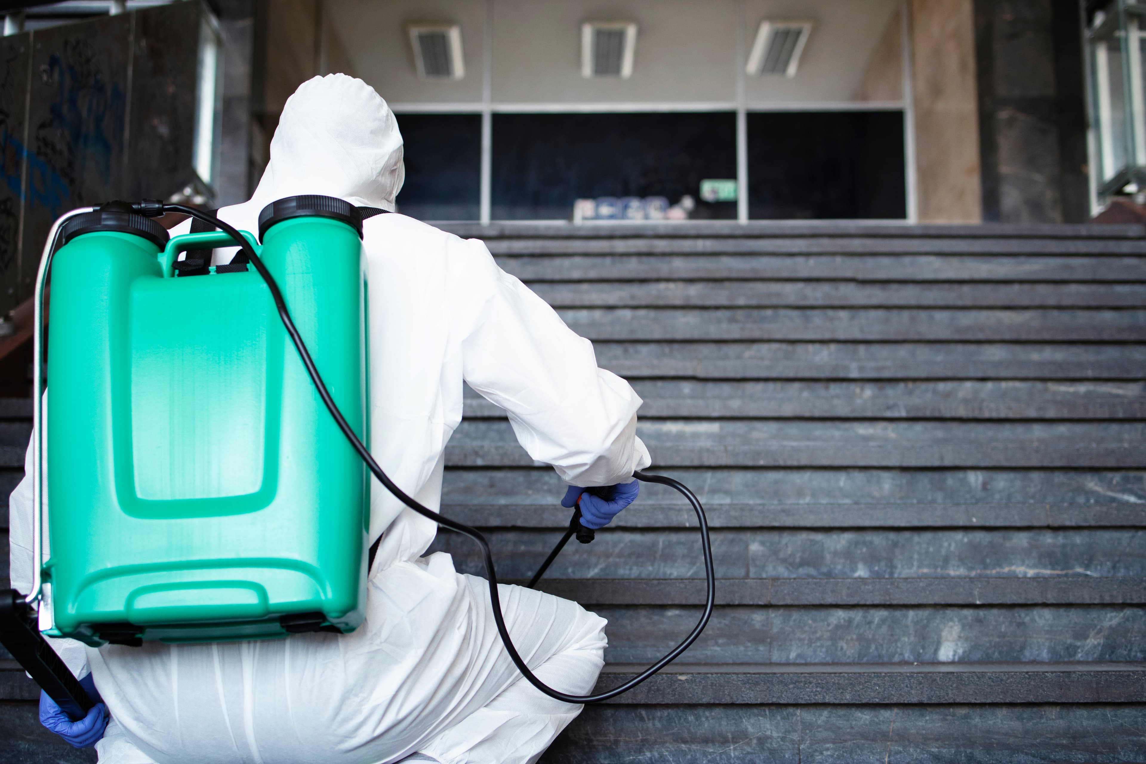 Pest Control landing